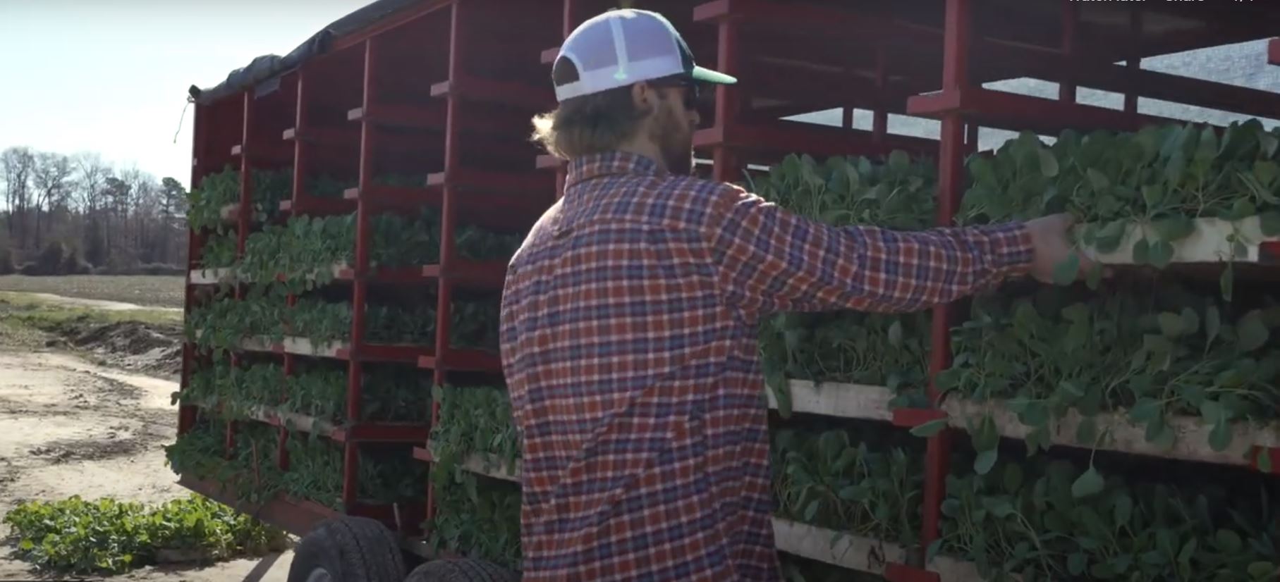 Load video: 